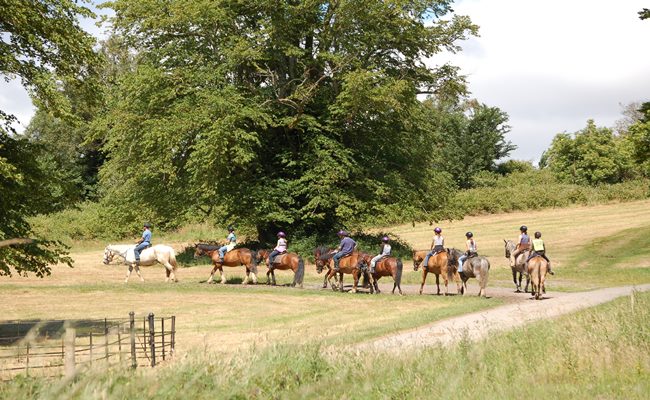 National-Park-RIDE-killarney