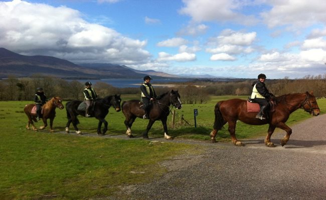 killarney-riding-stables-trotting