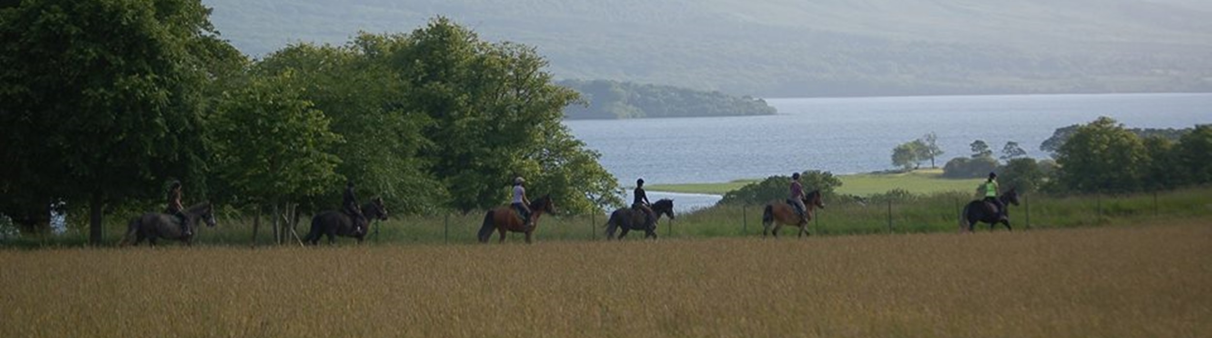 killarney-riding-stables (3)